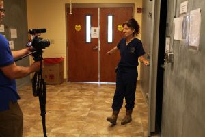 Refrigerated Compartment