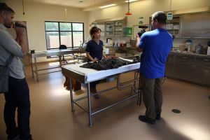 Filming Dr. Stern's talk